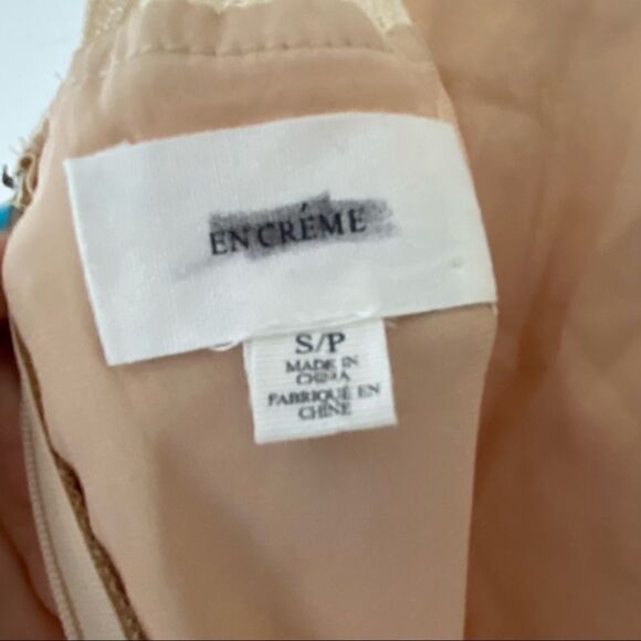 En Creme Lace Overlay Rouched Mini Dress NWT - Picture 6 of 12